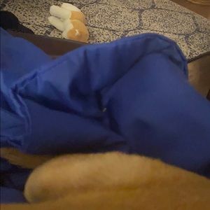 Meet your Posher, Bridget